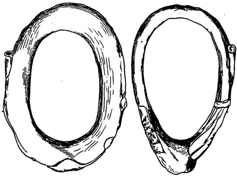 Archivo:Prehistoria de puerto rico 2.jpg