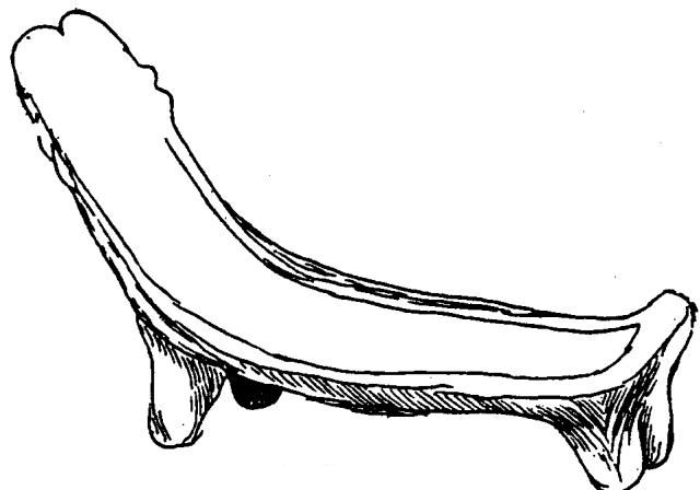 Archivo:Prehistoria de puerto rico.jpg