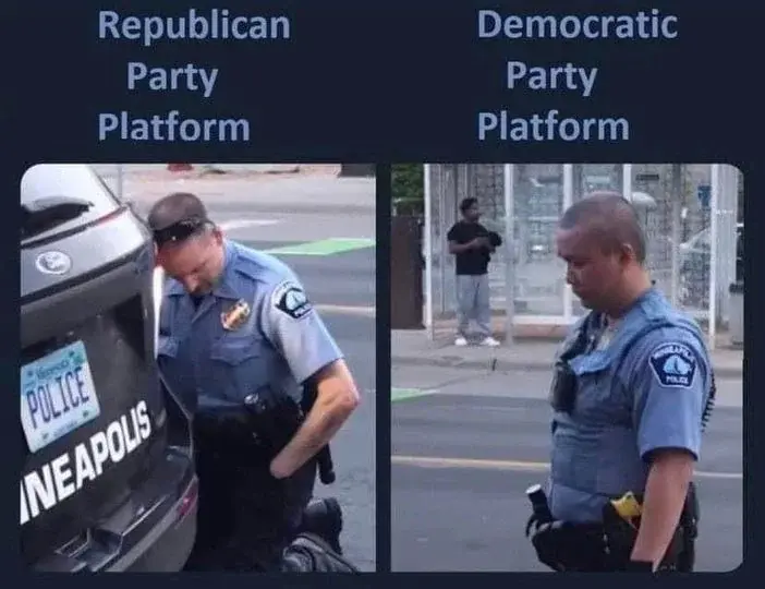 File:USA parties George Floyd meme.png