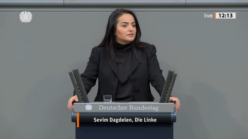 File:Sevim Dagdelen.png