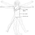Thumbnail for version as of 00:26, 15 August 2025