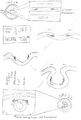 Thumbnail for version as of 00:10, 15 August 2025
