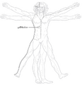 Thumbnail for version as of 00:49, 15 August 2025