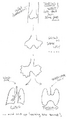 Thumbnail for version as of 00:22, 15 August 2025