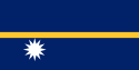 Flag of Republic of Nauru