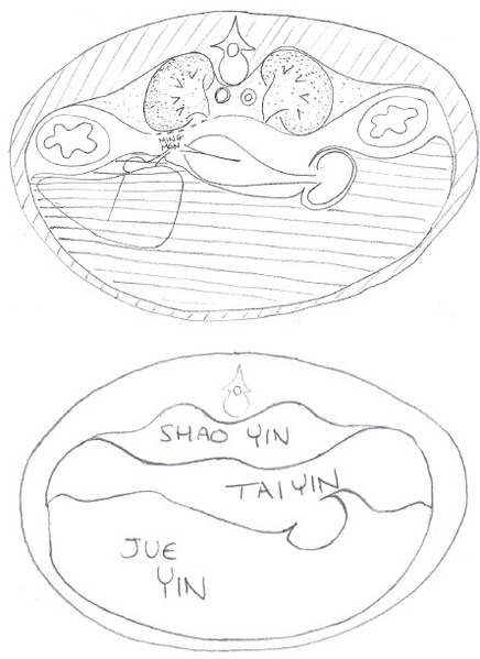 File:3yinchannels.png