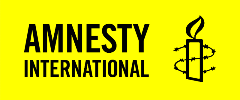 File:Amnesty International logo.png