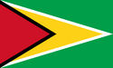 Flag of Co-operative Republic of Guyana