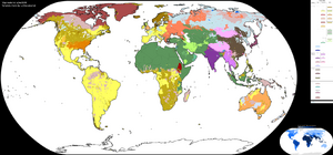 Detailed religion map.png
