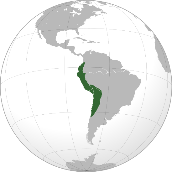 File:Tawantinsuyu map.svg