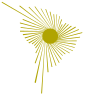 Coat of arms of Bolivarian Alliance for the Peoples of Our America