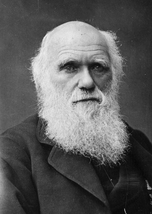 Charles Darwin.png
