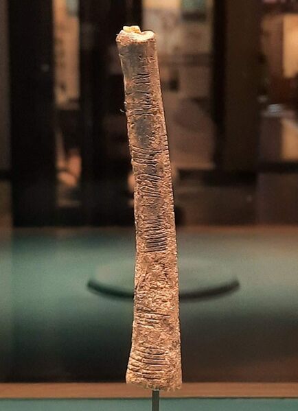 File:Ishango.jpg