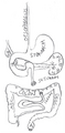 Thumbnail for version as of 00:42, 15 August 2025