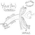 Thumbnail for version as of 00:08, 15 August 2025