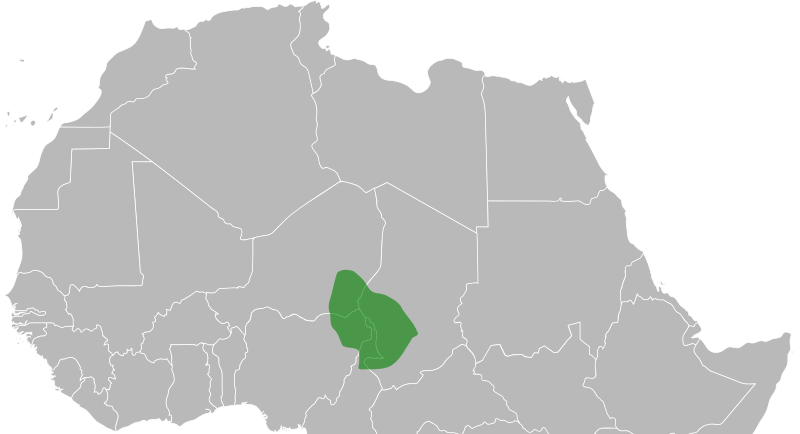 File:Bornu Empire map.svg