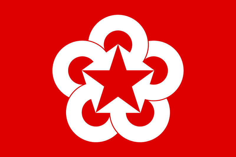 File:Comecon flag.png