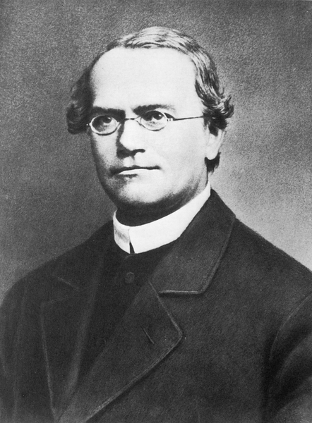 File:Gregor Mendel.png