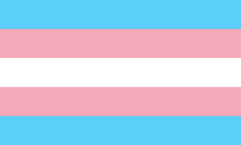 File:Transgender Pride flag.svg.png