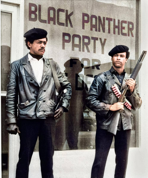 File:Black Panthers.png