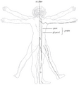 Thumbnail for version as of 00:38, 15 August 2025