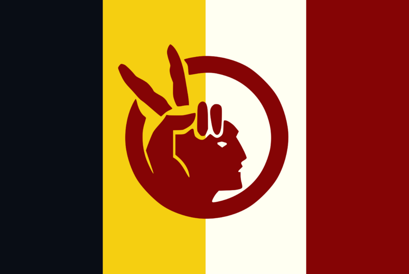 File:AIM flag.png