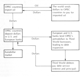 A flowchart depicting the concept of petrodollar recycling, showing the flow of dollars and oil exports. It says that OPEC countries export oil; the world sends dollars to OPEC countries to pay for imported oil. The OPEC countries deposit dollars in US and European banks. European and US banks then lend these petrodollars to Third World borrowers, leading to debt expansion. The Third World deborts pay debt service, depositing dollars in US and European Banks. The dollars deposited in US and European banks also leads to the Eurodollar market.